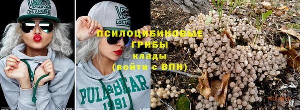 крисы Гусиноозёрск