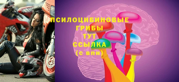 метамфетамин Гусев