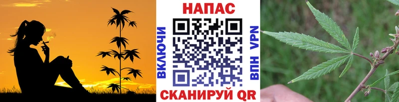 Бошки марихуана OG Kush  Купить закладки  Усть-Джегута 